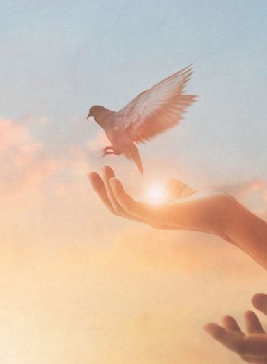 être guidé avec douceur