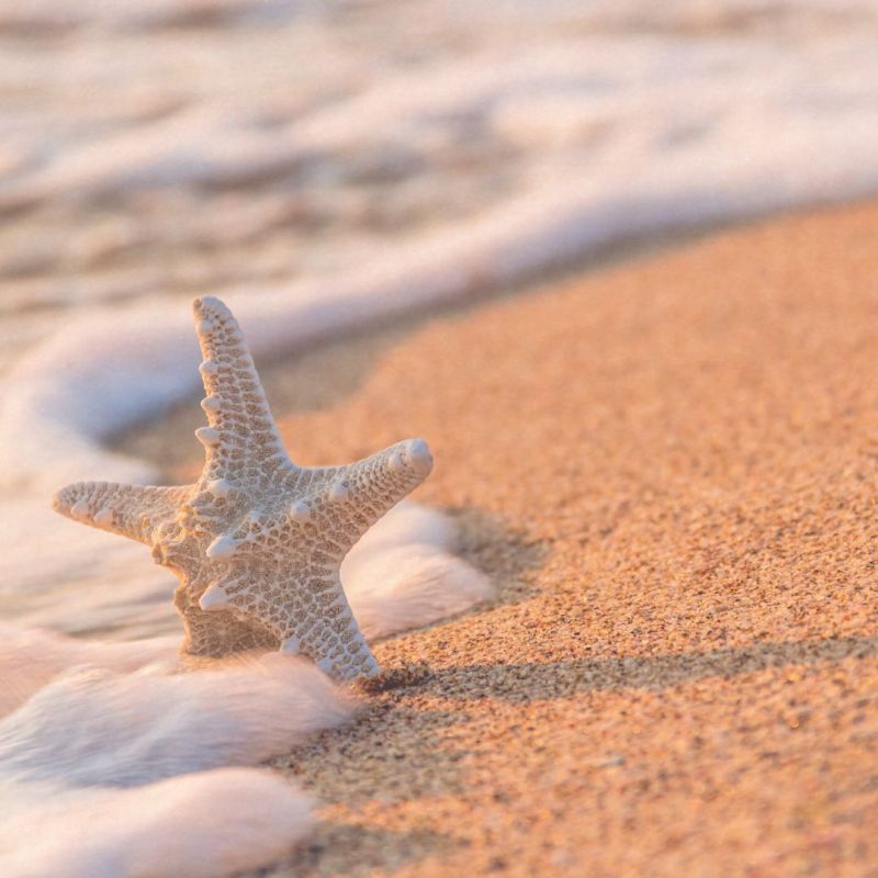 de l'ombre à la lumière