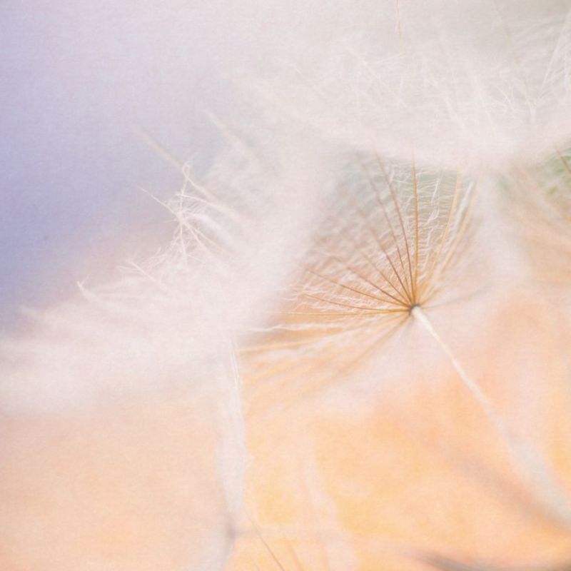 Retrouver un esprit paisible