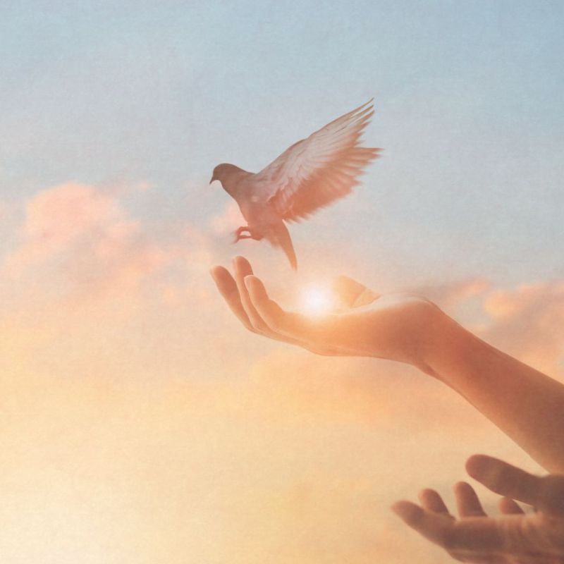 de l'ombre à la lumière