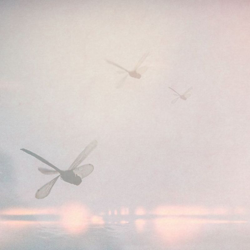 Retrouver un esprit paisible