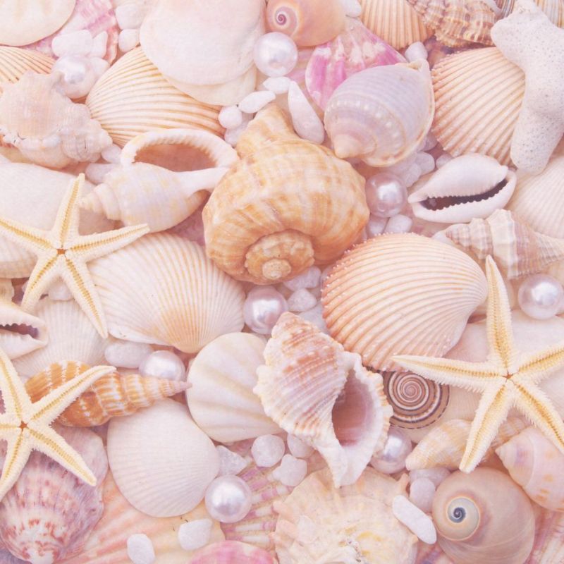 de l'ombre à la lumière