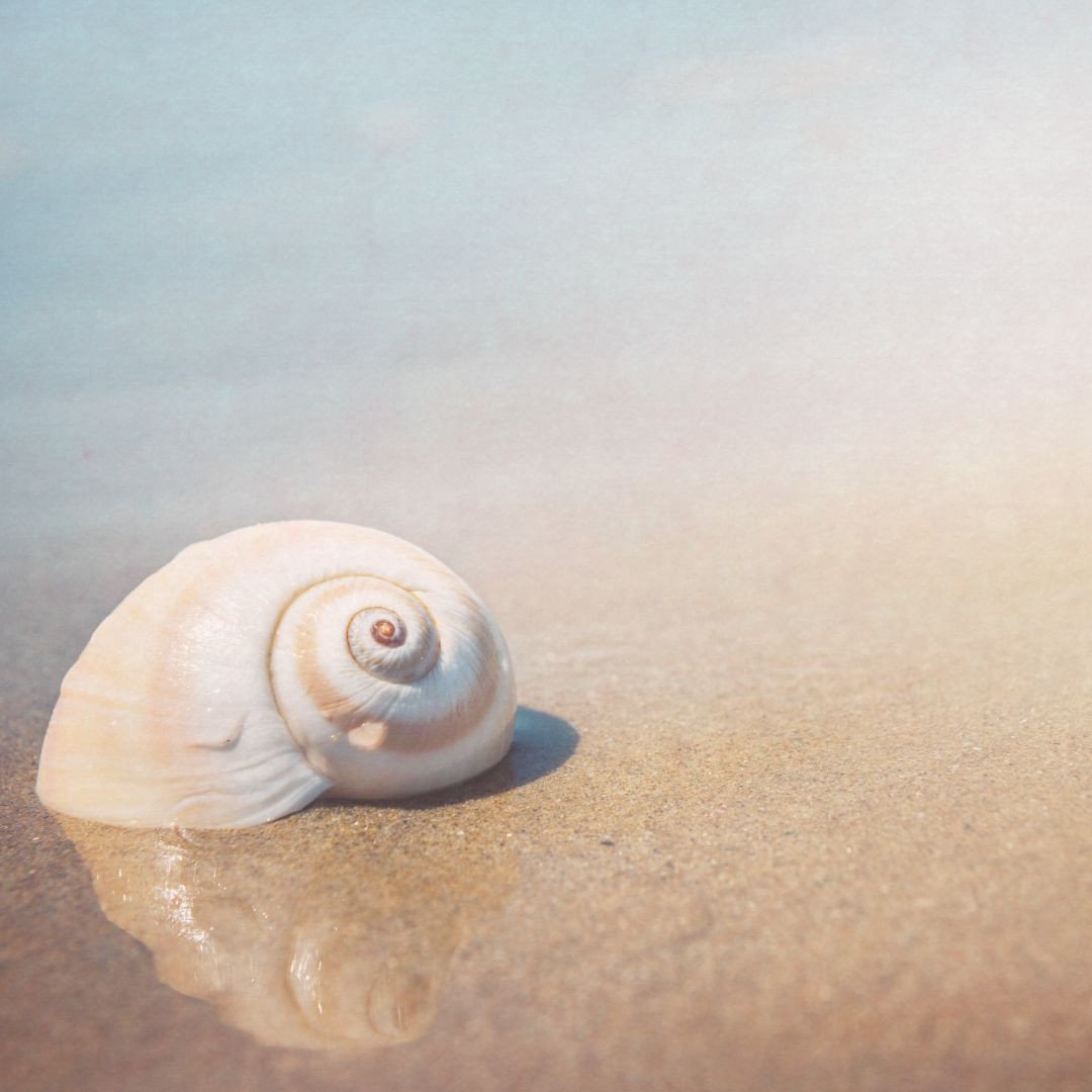 quand on se perd en chemin