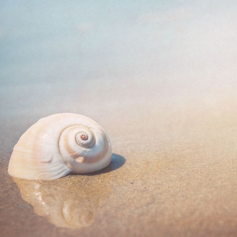 Retrouver un esprit paisible